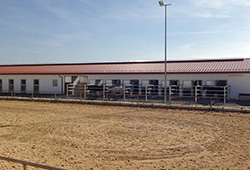Reiterhof Hartinger